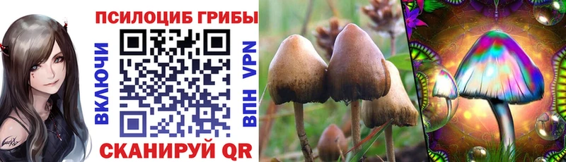 Галлюциногенные грибы ЛСД  Брюховецкая 